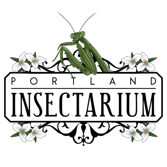 PDX Insectarium Shopify Gift Card